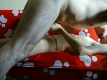 Live ABG Bispak Jakarta Hotel Bintang Lima Skandal Viral Terbaru Indo